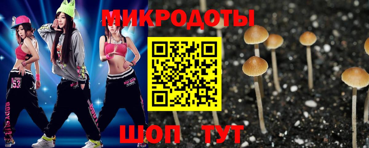 Псилоцибиновые грибы прущие грибы  Вход с VPN  Братск  Галлюциногенные грибы прущие грибы 